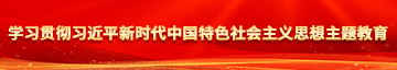 搞鸡巴网学习贯彻习近平新时代中国特色社会主义思想主题教育